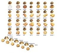 Машина тестоотсадочная в настольном исполнении МТК-84/2